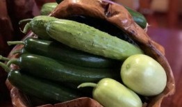 呼和浩特网红吃瓜,揭秘城市美食圈的热议焦点