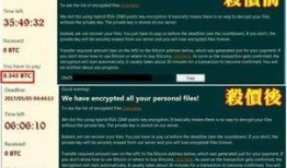 黑客爆料最新网站,黑客曝光最新网站内幕，揭秘网络黑幕与安全风险